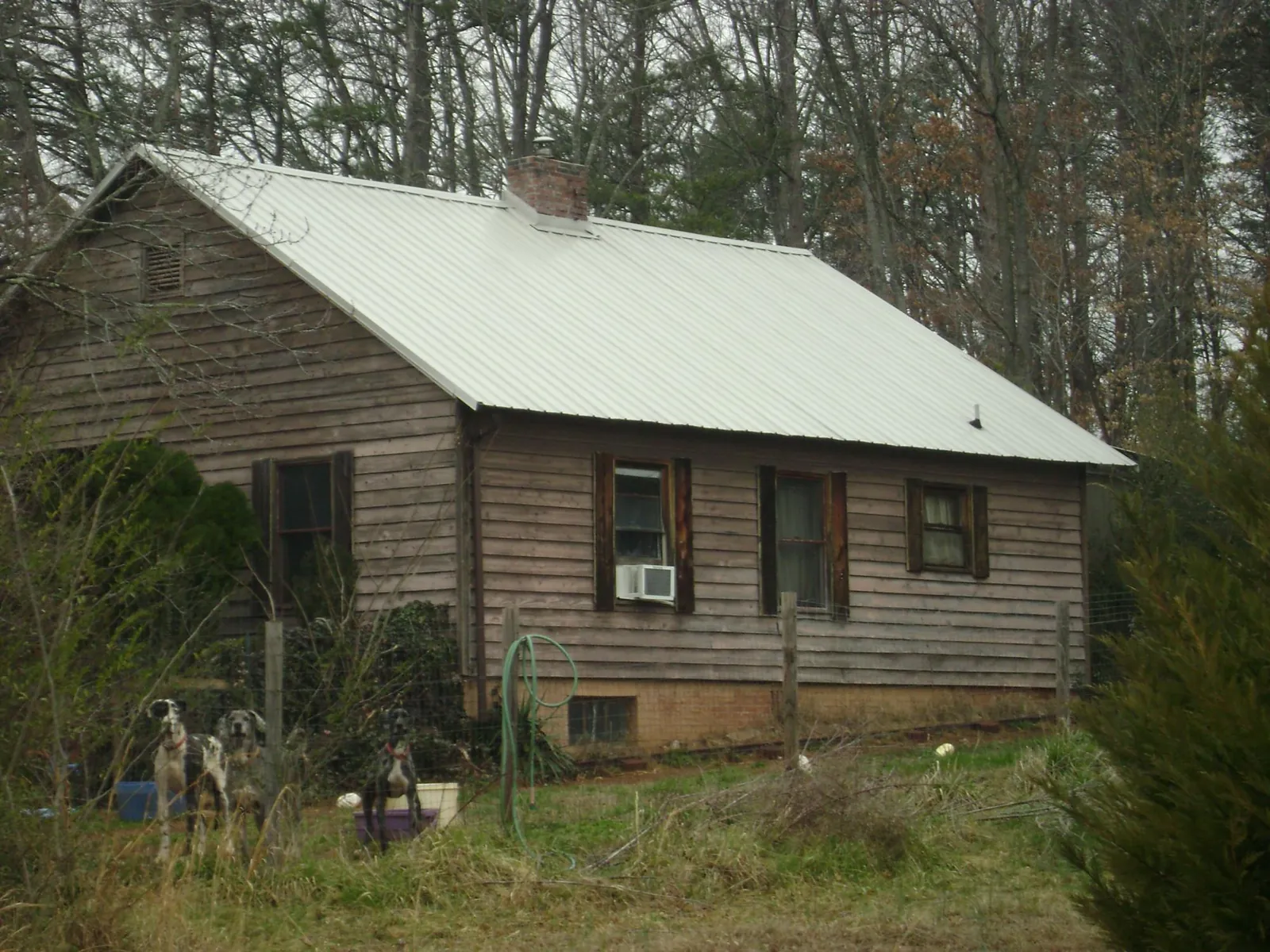 White metal roof on an old wood sided farmhouse, from a Metal Roof Installation job in Ilwaco